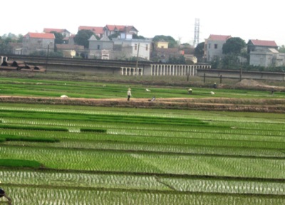 Dân không hiểu luật nên ỷ lại vào chính quyền